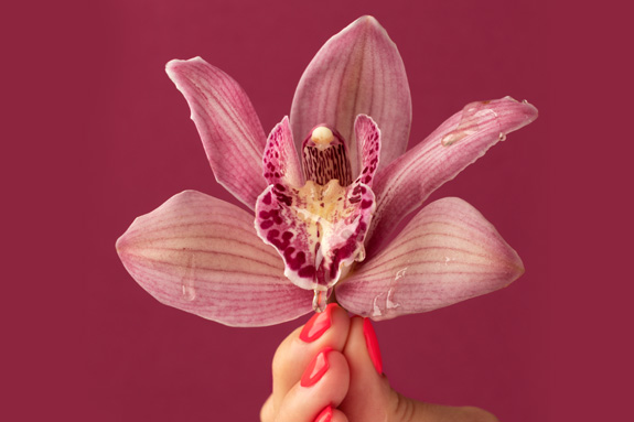 hymenoplasty procedure